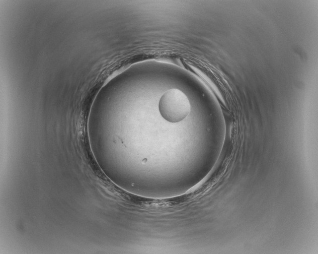 X0000116310517200911301505