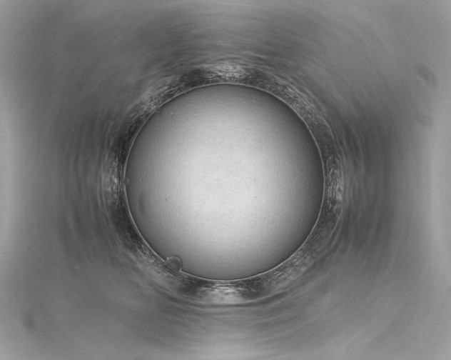 X0000116310518200911301505