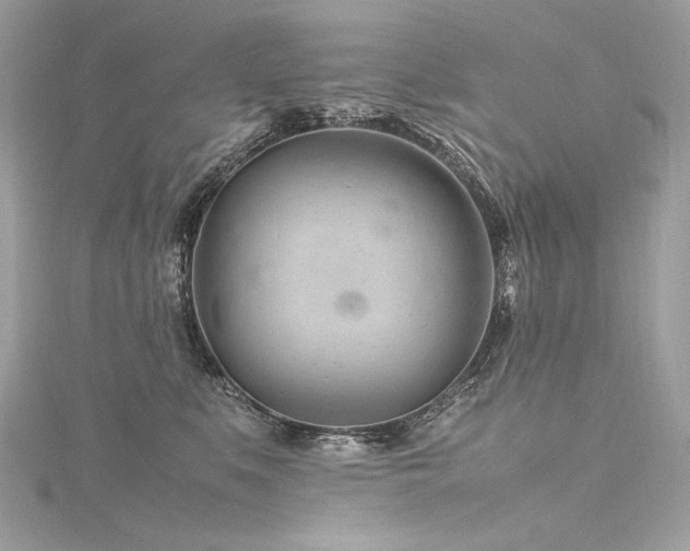 X0000116310519200911301505