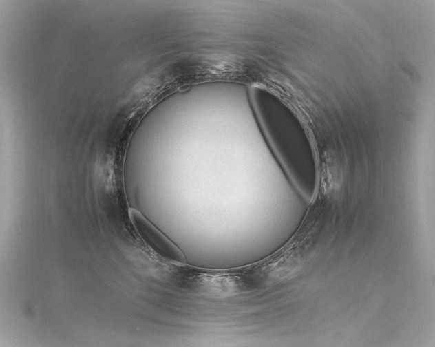 X0000116310520200911301505