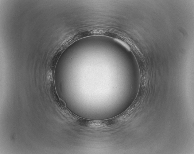 X0000116310521200911301505