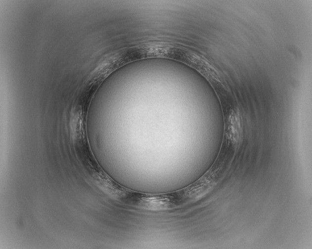 X0000116310522200911301505