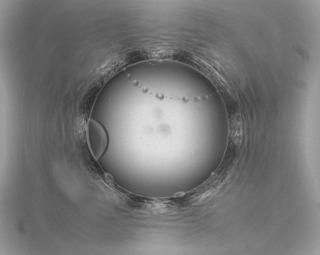 X0000116310523200911301505