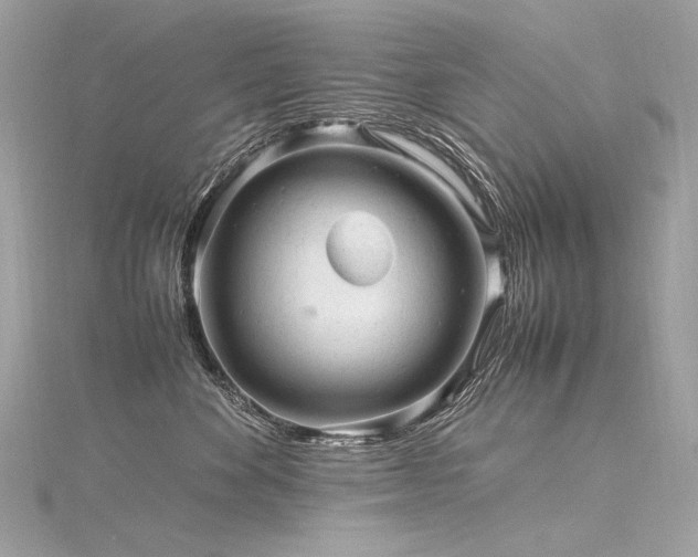 X0000116310524200911301505