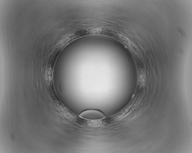 X0000116310525200911301505