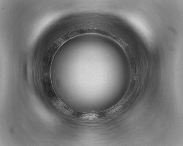 X0000116310526200911301505