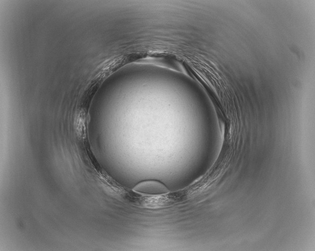 X0000116310527200911301505