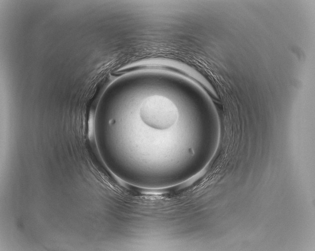 X0000116310528200911301505