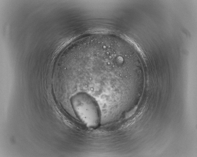 X0000116310529200911301505