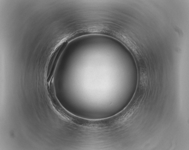 X0000116310530200911301505