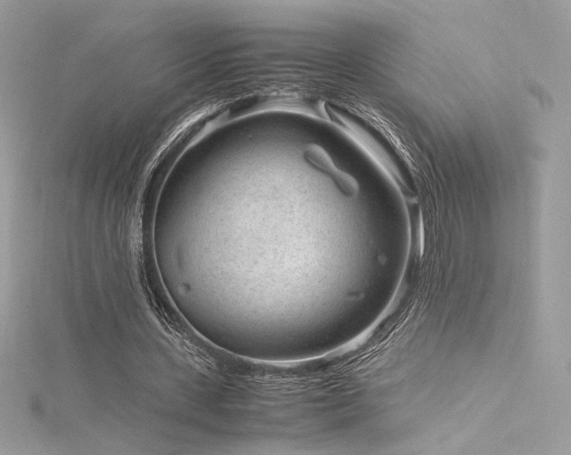 X0000116310531200911301505