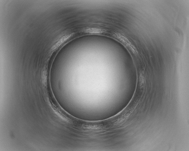 X0000116310533200911301505