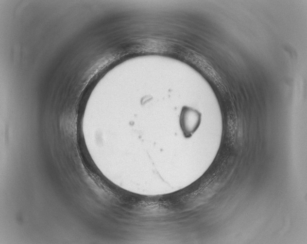 X0000116310534200911301505