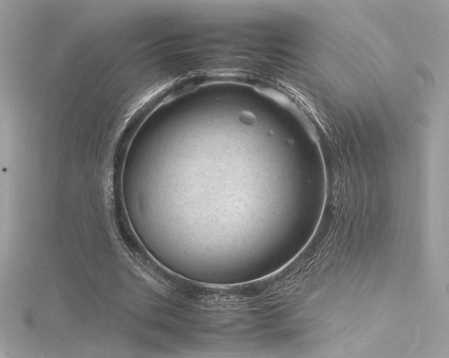 X0000116310535200911301505