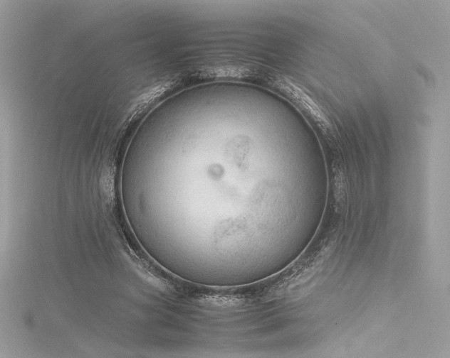 X0000116310537200911301505