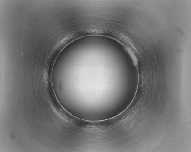 X0000116310538200911301505