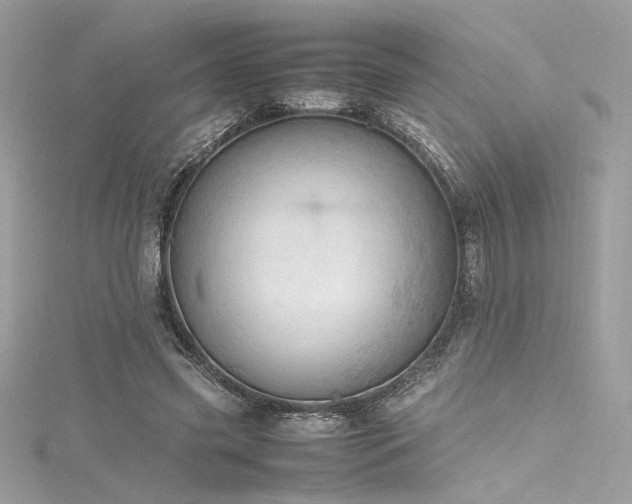 X0000116310541200911301505