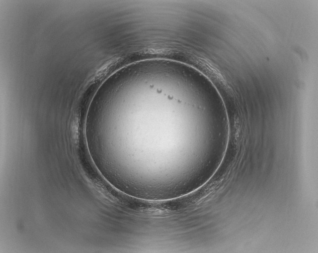 X0000116310542200911301505