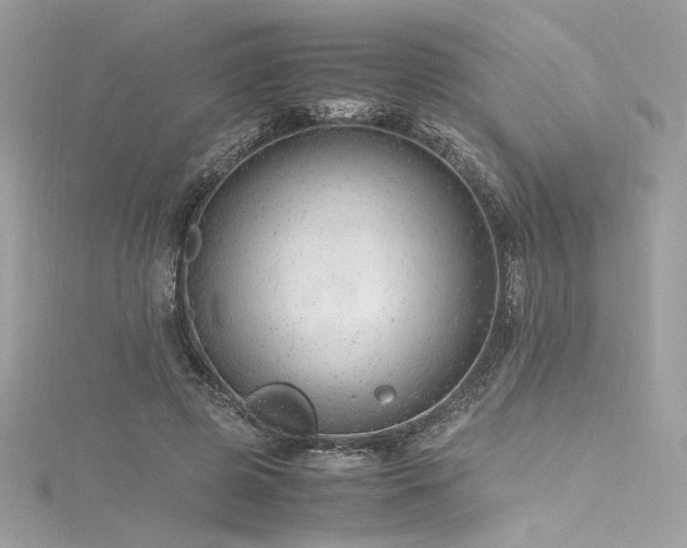 X0000116310545200911301505