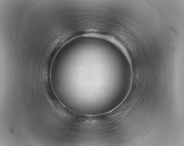 X0000116310547200911301505