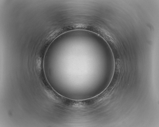 X0000116310550200911301505