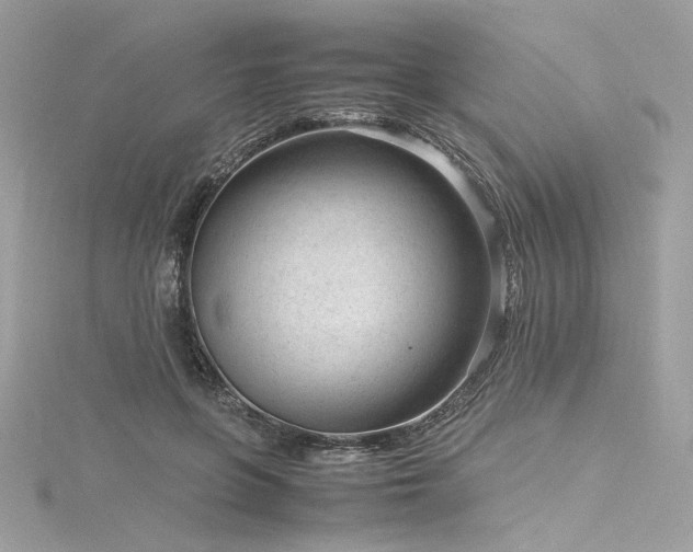 X0000116310551200911301505