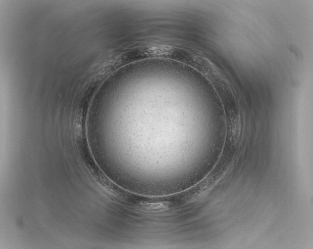 X0000116310553200911301505