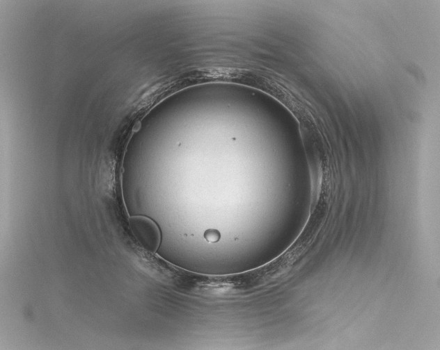 X0000116310554200911301505