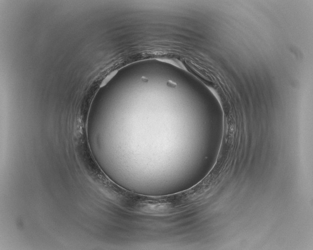 X0000116310555200911301505