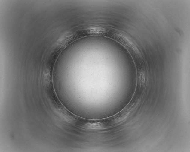 X0000116310557200911301505