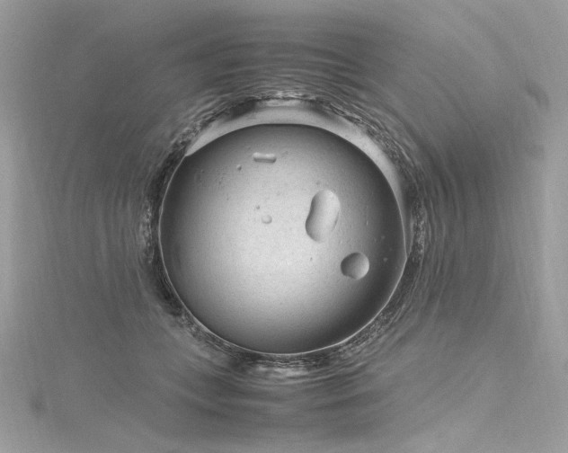 X0000116310559200911301505