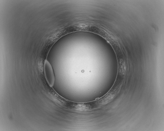 X0000116310562200911301505