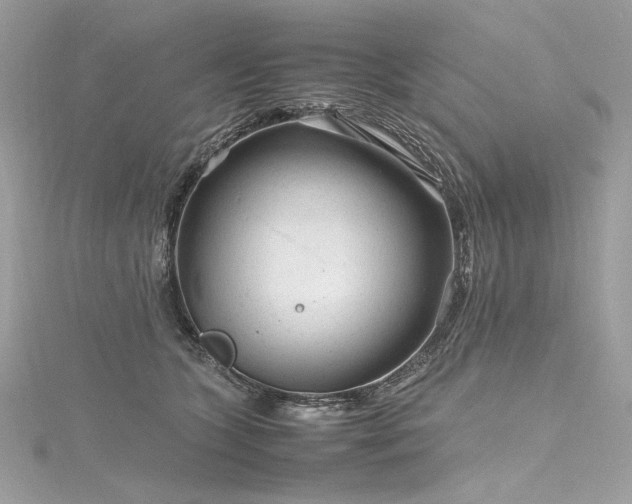 X0000116310563200911301505