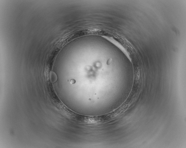 X0000116310565200911301505