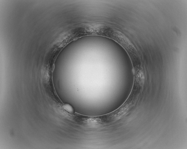 X0000116310566200911301505