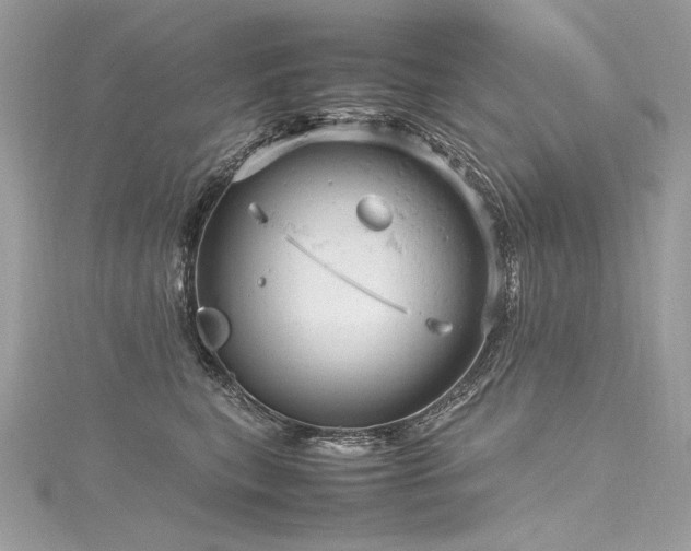 X0000116310567200911301505