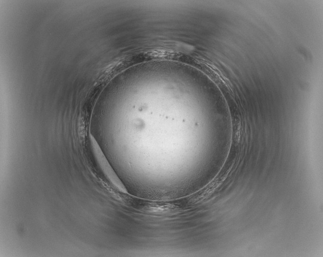 X0000116310569200911301505