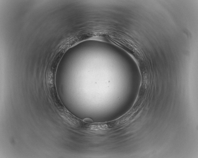 X0000116310571200911301505