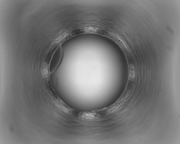 X0000116310573200911301505