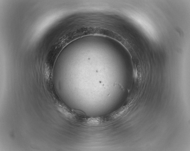 X0000116310574200911301505