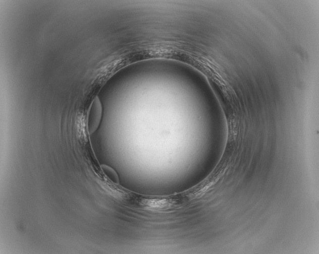 X0000116310575200911301505