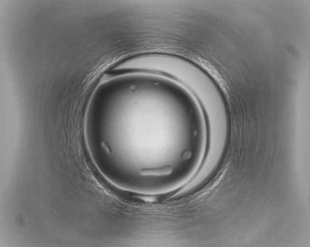 X0000116310577200911301505