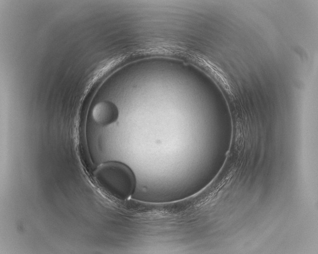 X0000116310578200911301505