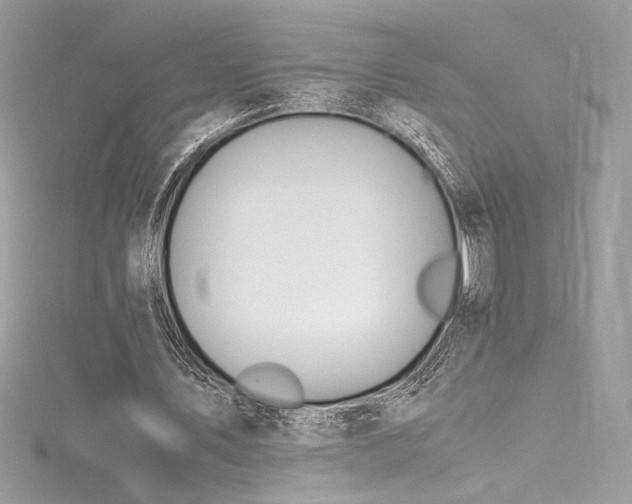 X0000116310579200911301505