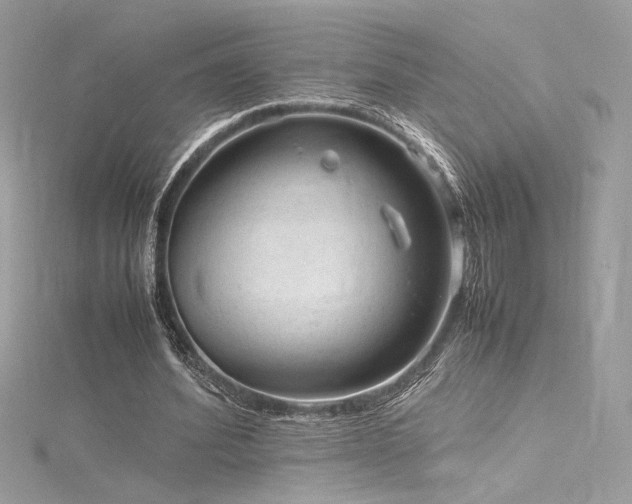 X0000116310580200911301505