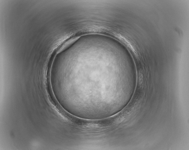 X0000116310581200911301505