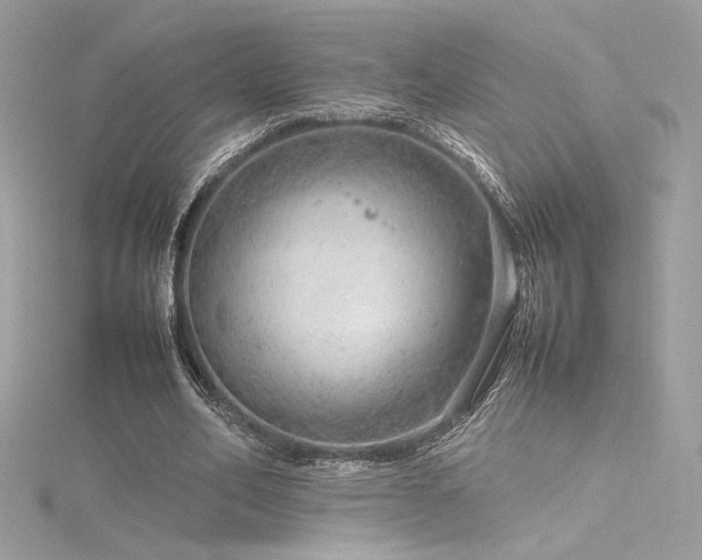 X0000116310582200911301505