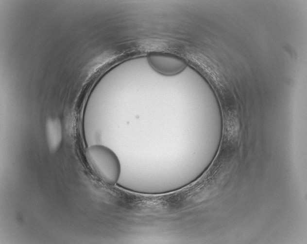 X0000116310583200911301505