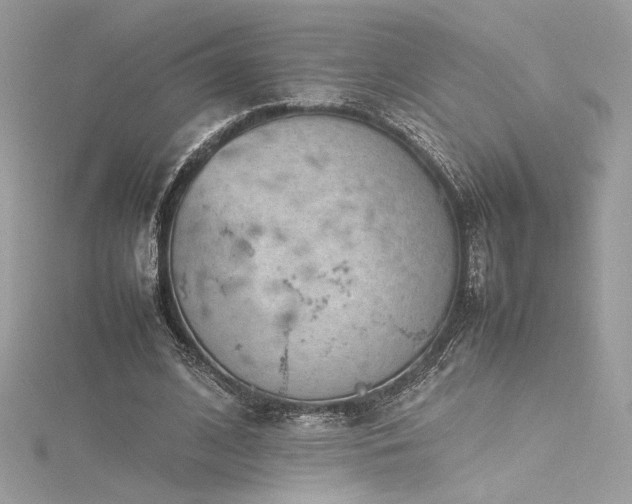 X0000116310584200911301505