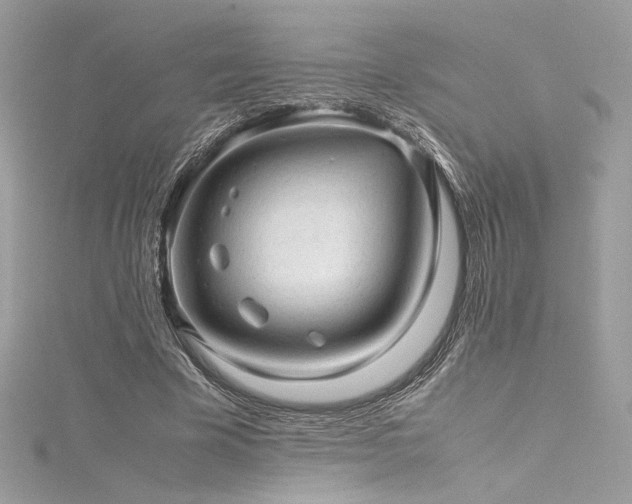 X0000116310585200911301505